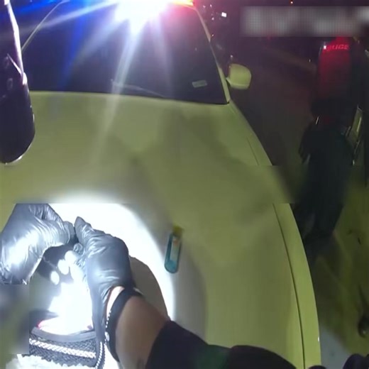 9.4K views · 51 reactions | Routine Traffic Stop Reveals Serious Legal Violations ⚖️ What began as a standard traffic stop quickly uncovered multiple offenses, showing how routine checks help keep roads and communities safe. Watch how officers handled the situation professionally and ensured public safety. #PoliceResponse #RoadSafety #LawEnforcement #CommunityProtection | Anonimus | Facebook