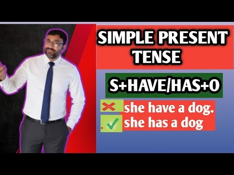 Simple Present Tense | Have Has Sentences | S + Have Has + Object | English Grammar Marathi