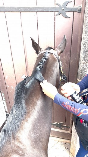2.1M views · 17K reactions | Ever wondered how to achieve perfect plaits when using bands? 樂 Isabelle Geran talks us through how she achives beautiful plaits every time on her lovely pony Haze ❤️ | Smart Grooming | Facebook