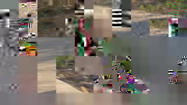 1.7K views · 49 reactions | Do you recognize this bird when it’s puffed up? Roadrunners are territorial birds. They make a clacking noise with their jaws to locate each other and as a warning to nearby intruders. See the reaction in this video when this Greater Roadrunner was approached by a human with a camera. | Clark County Wetlands Park | Facebook