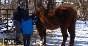 Donkey Therapy On Care Farm Helps Kids With Autism