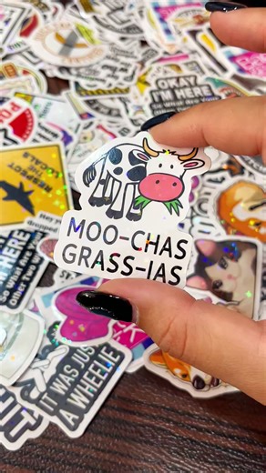 130 funny vinyl waterproof stickers in one pack for your water bottle or hard hat or laptop or ya know whatever #funnystickers #vinylstickers