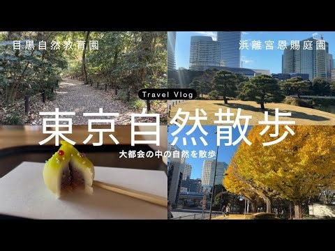 【目黒自然教育園】大都会の中の自然を散歩しよう【浜離宮恩賜庭園】