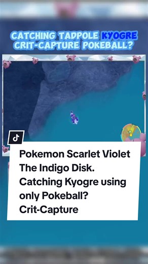 Pokemon Scarlet Violet The Indigo Disk. Catching Kyogre using only Pokeball? Crit-Capture? #pokemon #pokemonscarletviolet #pokemongame #pokémon #pokemontiktok #pokemoncommunity #TheIndigoDisk #whatsupmgakasams #kyogre