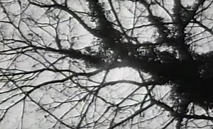 Listen to Yola, an extinct dialect of English