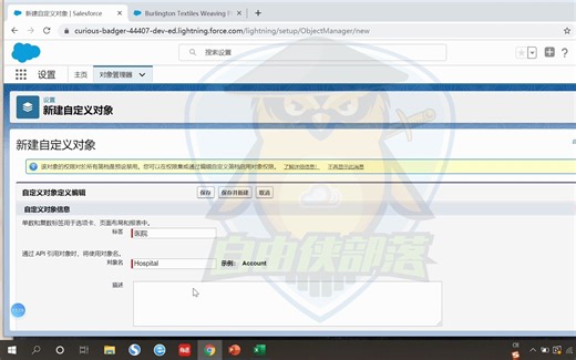 0基础入门_ Salesforce_admin高级管理员课程_中文学习_自定义对象和应用（中）