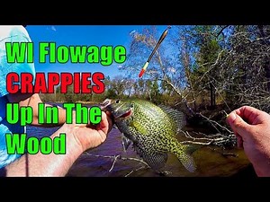 CRAPPIE FISHING WISCONSIN FLOWAGE!! - Up in the Shallow Wood