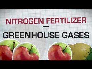 Genetically Modified Organism GMO - Myths and Truths