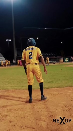 Durable Baseball Sliding Mitt - Savannah Banana Tough Mitt