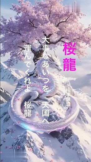 「桜龍」 ~山本譲二~ Ending #ai動画 #拡散回覧板