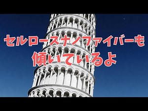 木材細胞壁モデル＆ミクロフィブリル傾角（MFA）2024