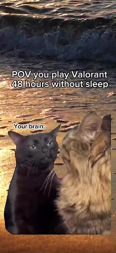 💀💀💀 #meme #memes #fyp #valorant #valorantfunny #valorantmemes