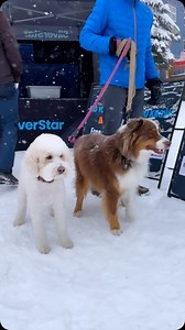 7.7K views · 52 reactions | We welcomed our Season Passholders to the...