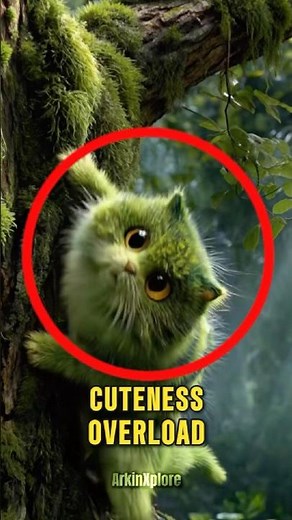 5 Cutest Cat Breeds Ever 😻 World’s Most Adorable Cats 😱