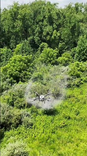 DJI Agras T100 takes on kudzu control with efficient aerial spraying. #djiagriculture #smartfarming