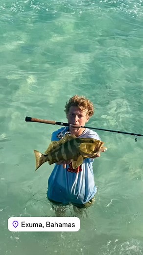 Maria Segura on Reels