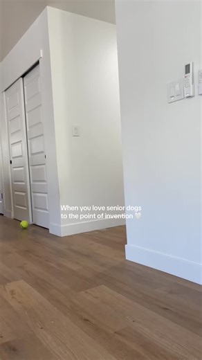 ToeGrips keep your senior dog from slipping on hard home floors ❤️‍🩹 #seniordog #olddog #petcaretips #lovedogs #seniordogsofinstagram | Dr. Buzby's ToeGrips for Dogs