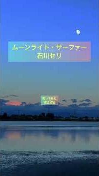 [歌ってみた] 石川セリさんの「ムーンライト・サーファー」をアカペラで、歌ってみた🏄️ #歌ってみた #アカペラ