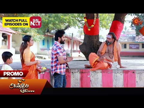 Anbe Vaa - Promo | 30 January 2024 | Tamil Serial | Sun TV
