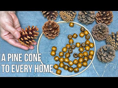Just get a pine cones, wooden beads and you've got some incredible awesomeness! pine cone craft