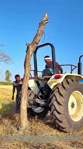 Tractor vs. Deadwood: How Farmers Clear Hazard Trees Safely