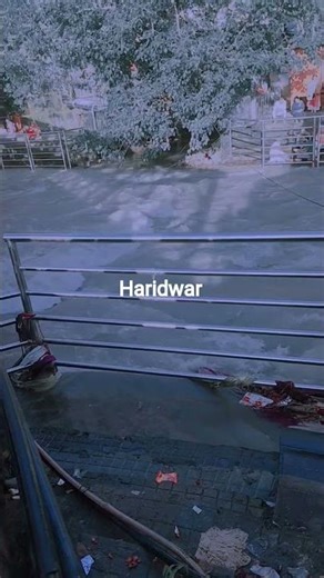 kaisi bhi ho rahe sath sath chalna! #haridwar #shortvideos