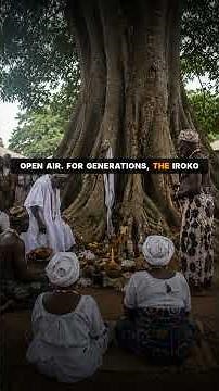 Iroko Tree of Kpassè (Benin): The Ancient Spirit Tree of Benin
