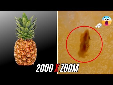 Fruits Under the Microscope 🔬 | A Hidden World Inside Everyday Food
