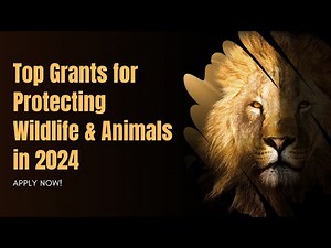 Get Funded: Best Animal & Wildlife Conservation Grants