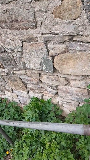 sounds of the church bells riging