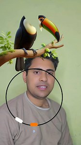 133K views · 1.6K reactions | Circle challenge #shorts | Challenge With Me | Facebook