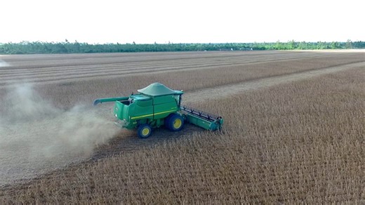 Farm, Agriculture, Farming. Free Stock Video