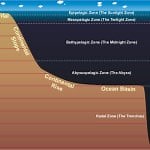 How deep is the ocean?