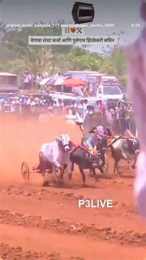 सर्जा ❤️सुंदर फॅनक्लब महाराष्ट्र राज्य #ranjitnimbalkarsir #8500 #mathur1001 #bakasur #viral #viral