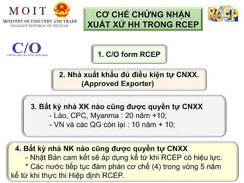 Hướng dẫn khai báo hồ sơ C/O form RCEP trên hệ thống cấp C/O điện tử ECOSYS