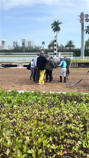 Revolutionnaire gallops back in his first start back at Gulfstream Park Feb. 28