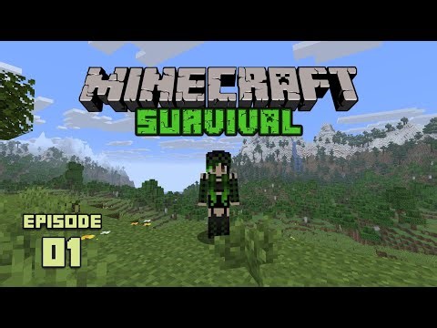 Starting FRESH in Survival Minecraft! | Forever World Episode 1