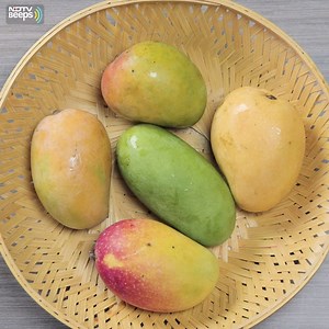 404K views · 608 reactions | Which type of Mango is your favourite? #Summer #Mango | NDTV Beeps | Facebook