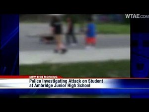 Vicious Fight At Junior High School Caught On Tape