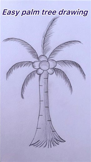Easy palm tree drawing #palmtreedrawing #drawingideasforkids #easyart #artclass #drawing4kids #arts