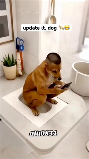 update it, dog 🦮😂 #shorts #viral