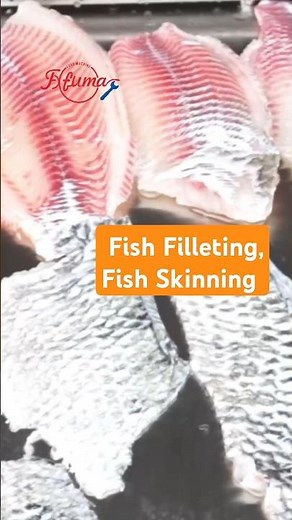 Fish Filleting Fish Skinning Machine #fishfillet