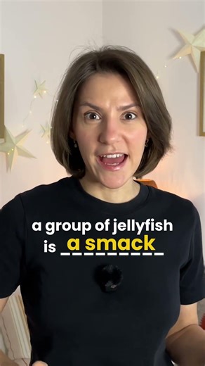 Stop Saying Groups Wrong! Animal Collective Nouns for Real English Speaking