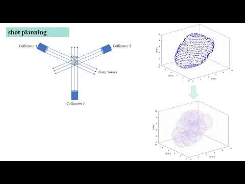 擾乱・多様性フィードバック制御粒子群最適化を用いた3D病巣照射計画 （進化計算シンポジウム2025）