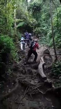 Rain di gunung malabar // #tektok #mountains #asmr #rainsounds