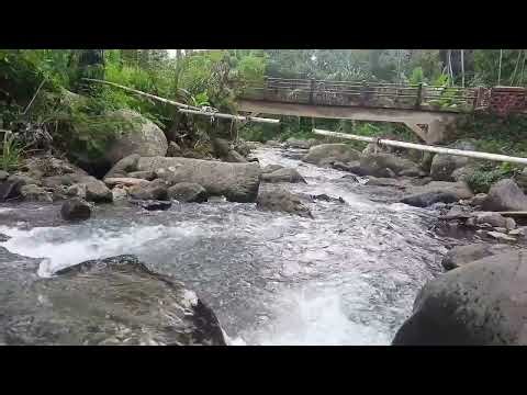 Soothing Flowing River Sounds | Natural Water Ambience for Deep Relaxation