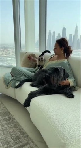 INSANE! Dog SAVES Woman From Attacking Monkey In Dubai