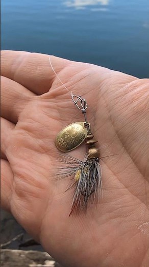 Catching a White Perch with Mepps Aglia Spinner fishing lure #fishing