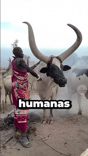 The Secret Behind Why Farm Animals Get Their Horns Trimmed!