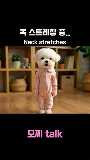 목 스트레칭 Neck stretches | Neck Exercise